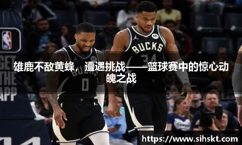 雄鹿不敌黄蜂,遭遇挑战——篮球赛中的惊心动魄之战